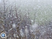 Новогоднюю ночь Армения встретит со снегом