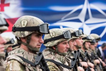 Грузия и НАТО: плановое разочарование